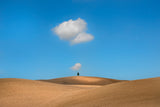 Tuscany Poster och Canvastavla