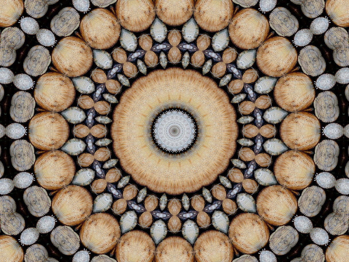 Wood art Poster och Canvastavla