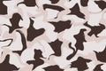 White And Brown Whipped Pattern Poster och Canvastavla