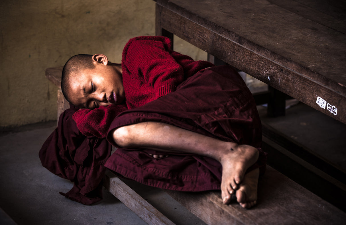 sleeping novice Poster och Canvastavla