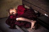 sleeping novice Poster och Canvastavla
