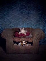"Today the Dog, Tomorrow the World" Poster och Canvastavla