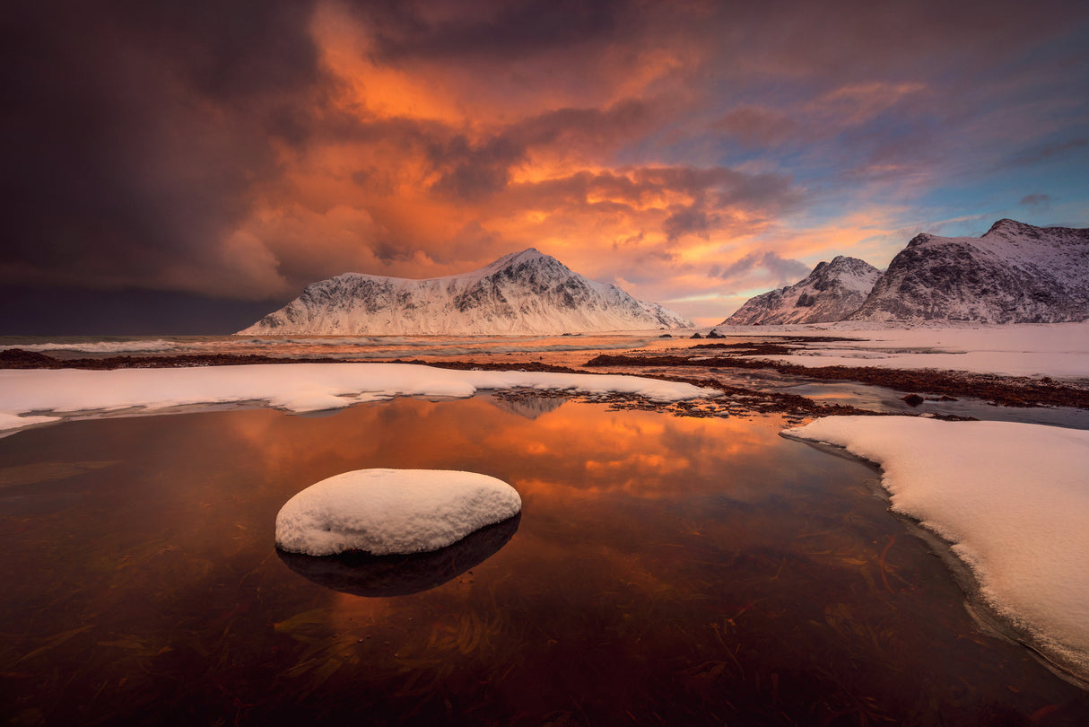 Lofoten Poster och Canvastavla