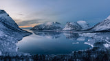 Polar Night Poster och Canvastavla