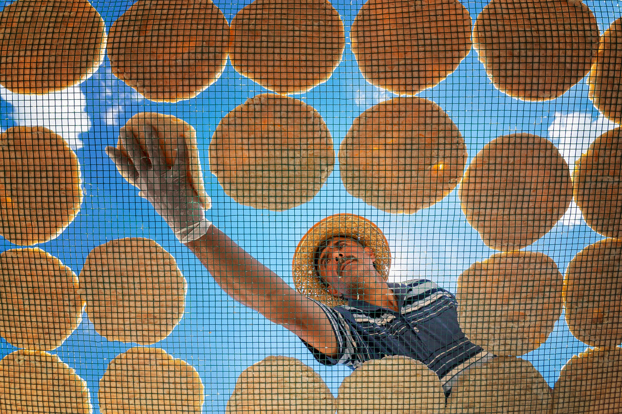 tarhana drying Poster och Canvastavla