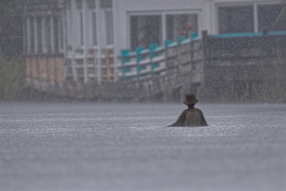 A Wet Day Poster och Canvastavla