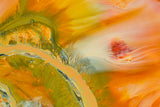 Toxic Colours Poster och Canvastavla