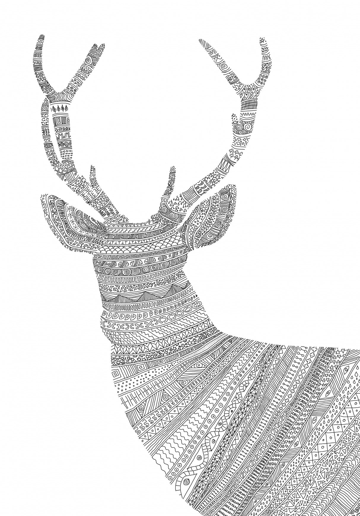 Stag White Poster och Canvastavla