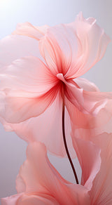 Delicate Flowers 6 Poster och Canvastavla