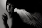 a flightless angel Poster och Canvastavla