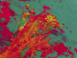colored paints Poster och Canvastavla