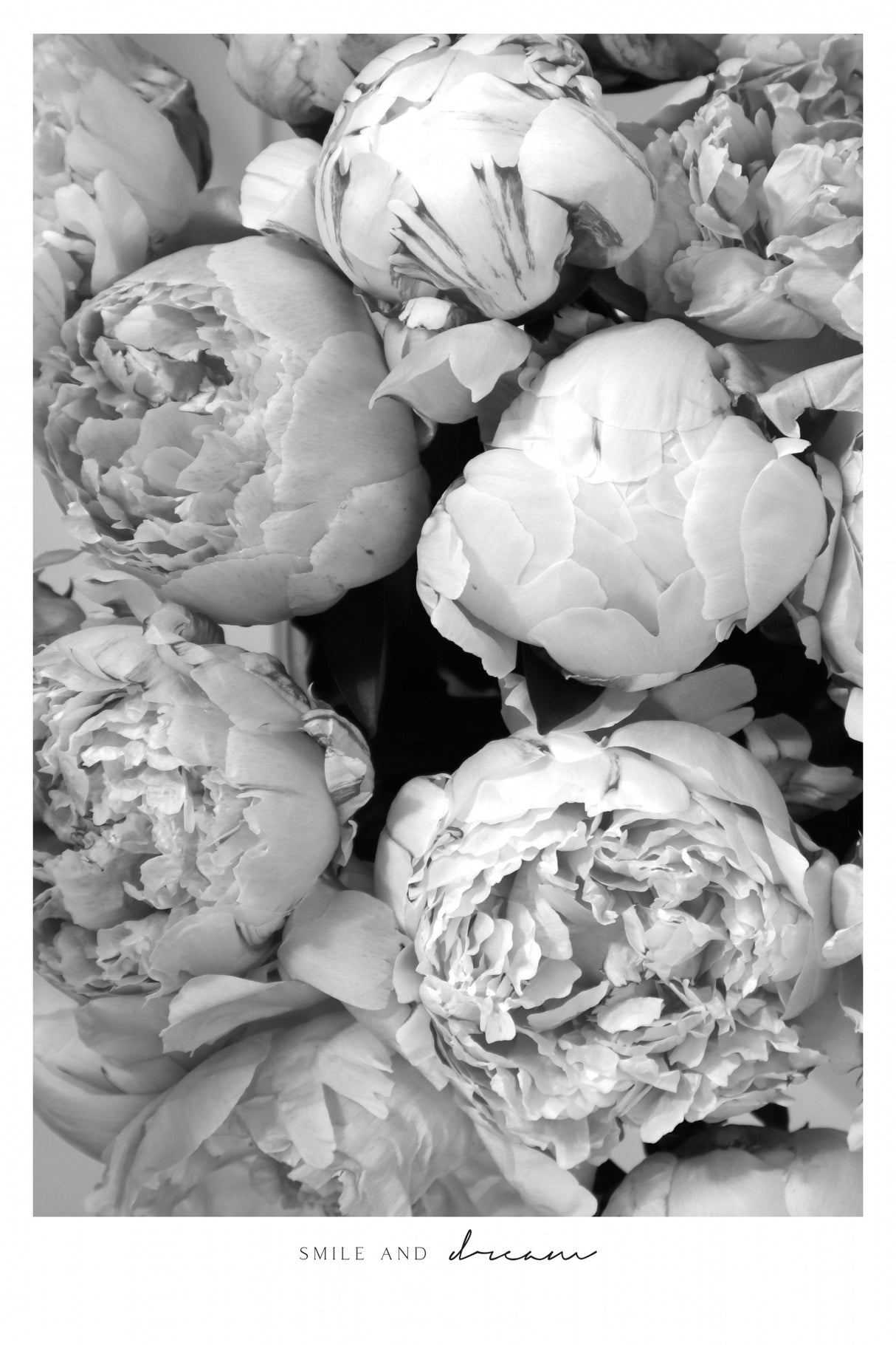 Smile and dream peonies BW Poster och Canvastavla