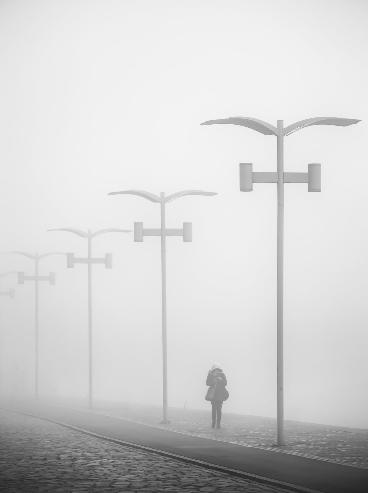 Walk in the fog. Poster och Canvastavla