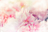 Ombre032flower Poster och Canvastavla