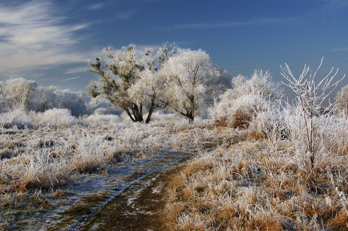 Welcome to Narnia! Poster och Canvastavla