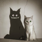 The Shadow Smiles to You Poster och Canvastavla