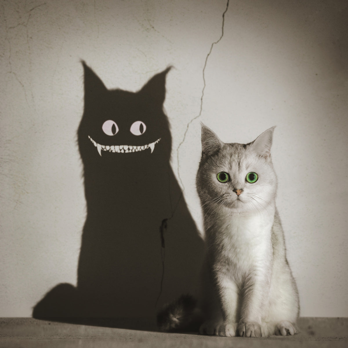 The Shadow Smiles to You Poster och Canvastavla