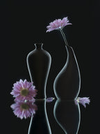 still life 37 Poster och Canvastavla