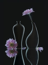 still life 37 Poster och Canvastavla