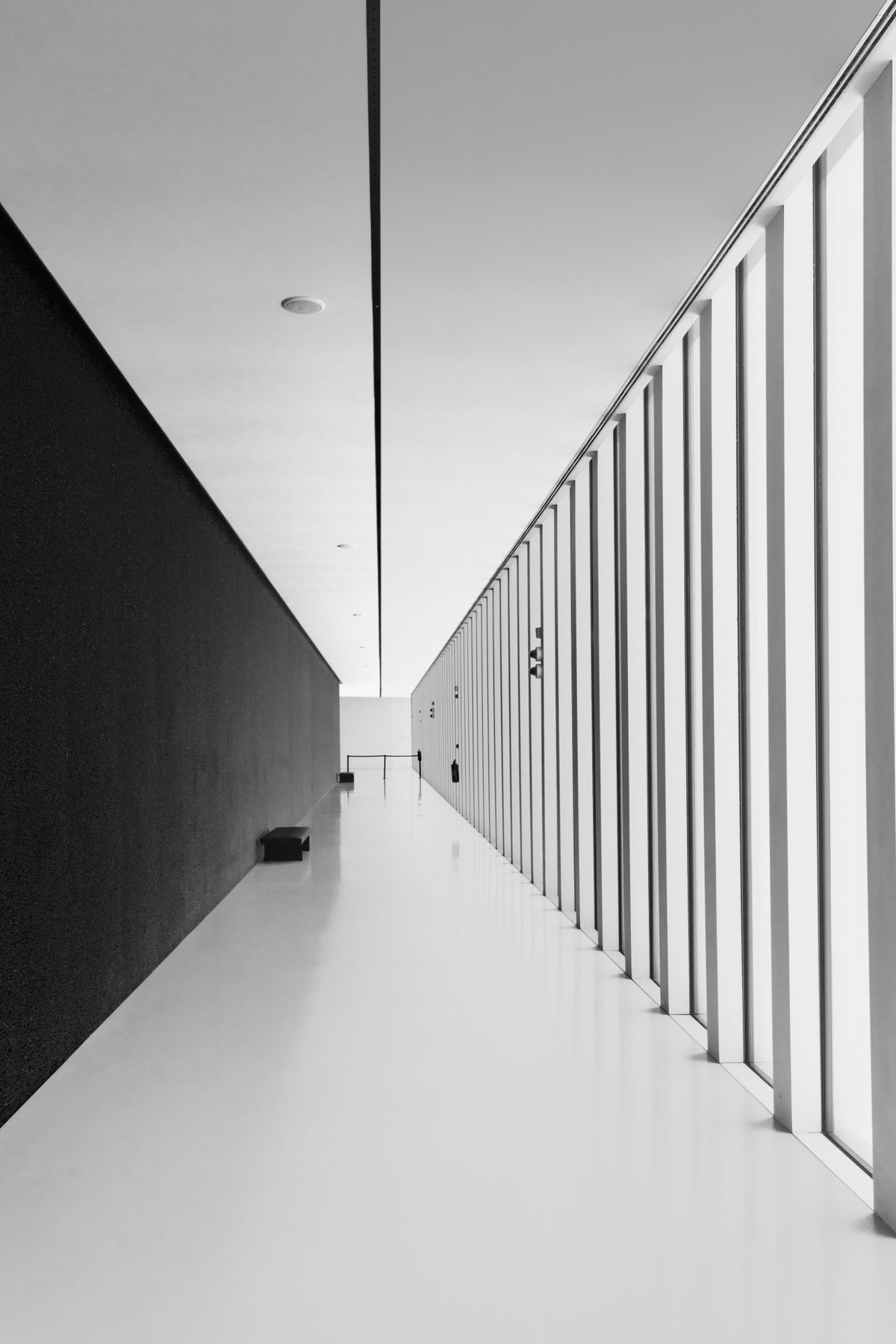 Light contrast Poster och Canvastavla
