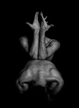 The tree of obedience Poster och Canvastavla
