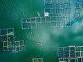 Sailing Poster och Canvastavla