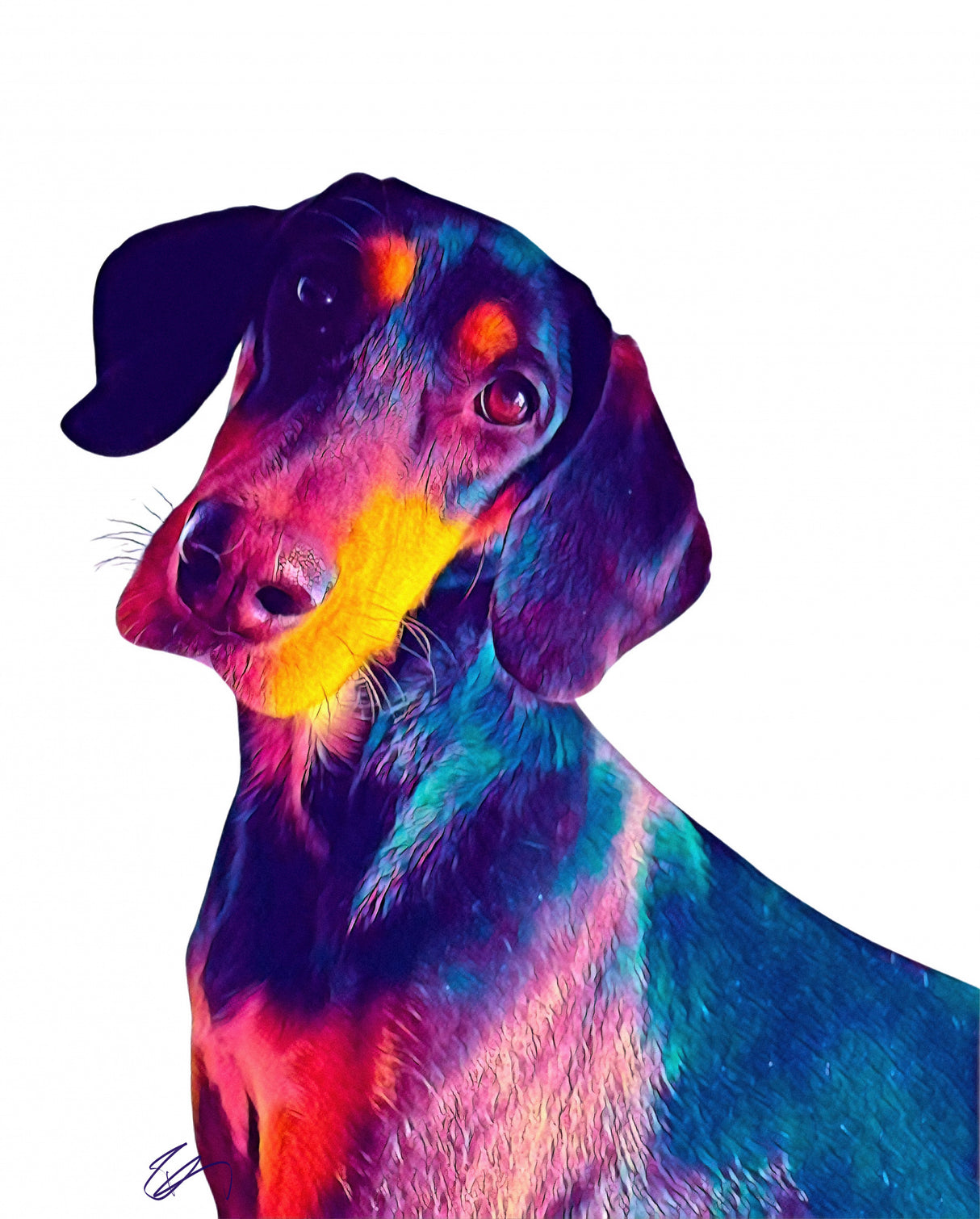 Finn Dog Poster och Canvastavla