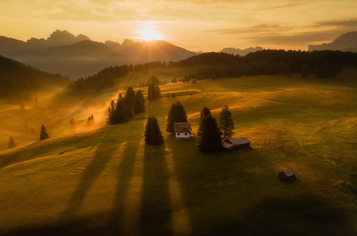 Meadows of Seiser Alm Poster och Canvastavla