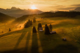 Meadows of Seiser Alm Poster och Canvastavla