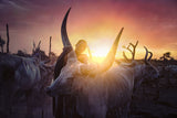 Mundari's cow man Poster och Canvastavla