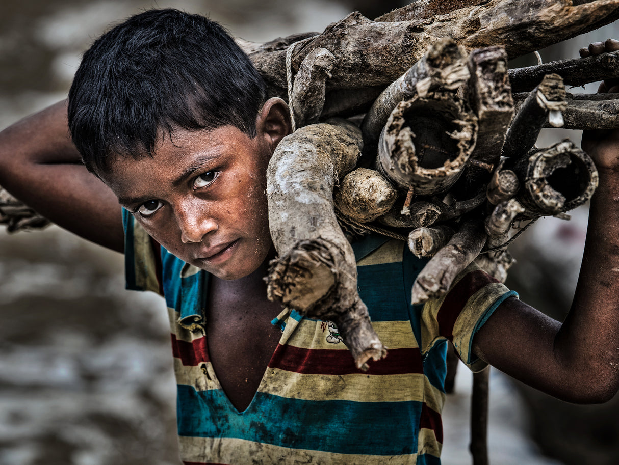 Rohingya refugee boy carrying some firewood. Poster och Canvastavla