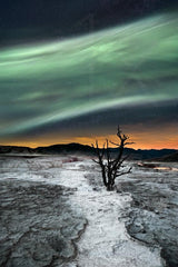 Magic Aurora Poster och Canvastavla