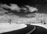 Winding Road Poster och Canvastavla