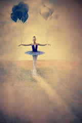 BALANCE OF LIFE Poster och Canvastavla