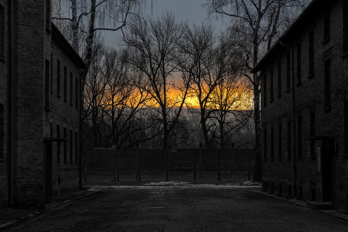 sunrise in Auschwitz Poster och Canvastavla