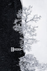 Lake Shore under Snow Storm Poster och Canvastavla