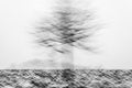 Moving tree in the snow Poster och Canvastavla