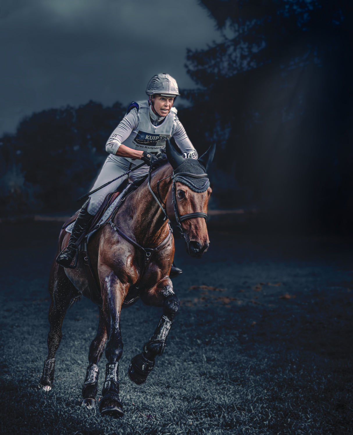 Amazone participating in Boekelo (NL) 2023 military event Poster och Canvastavla