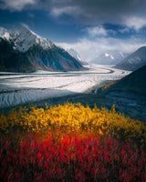 AK Glacier Poster och Canvastavla