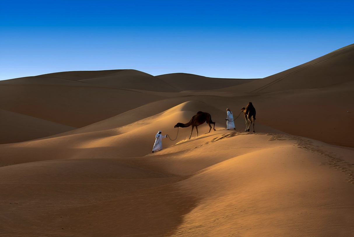 Liwa desert Poster och Canvastavla