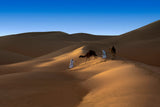 Liwa desert Poster och Canvastavla