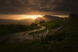 Path to the sun Poster och Canvastavla