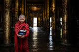 Young burmese monk Poster och Canvastavla
