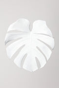 Monstera White 03 Poster och Canvastavla