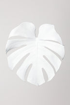 Monstera White 03 Poster och Canvastavla