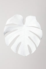 Monstera White 03 Poster och Canvastavla