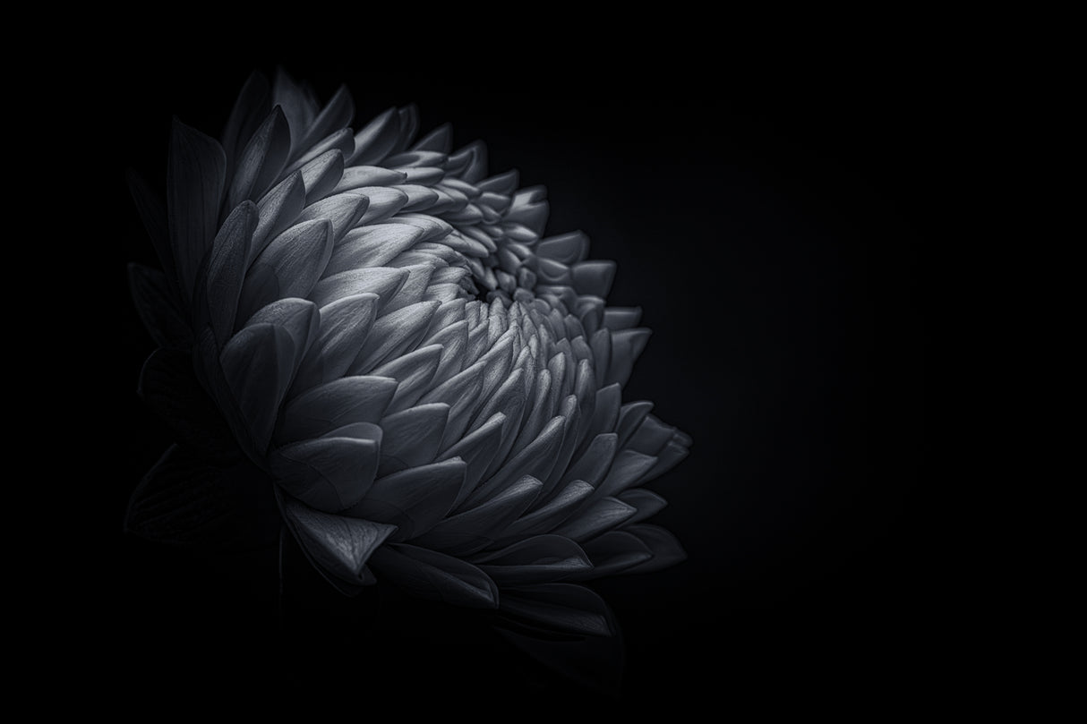 Spark of Life Poster och Canvastavla