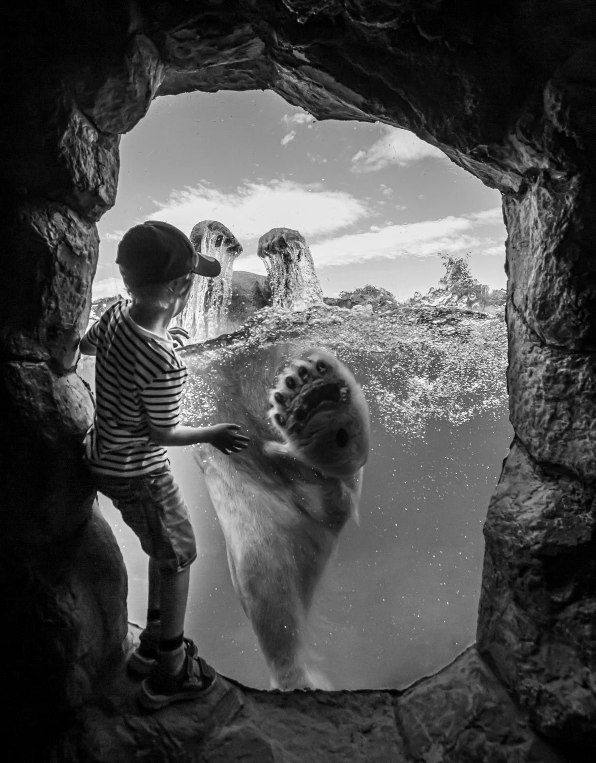... the polar bear and the boy # 2 Poster och Canvastavla
