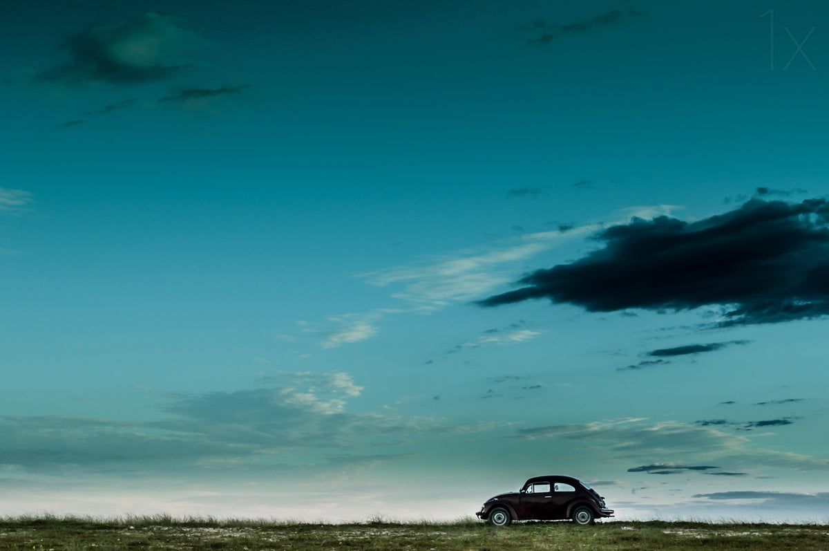 The Red VW Beetle Poster och Canvastavla