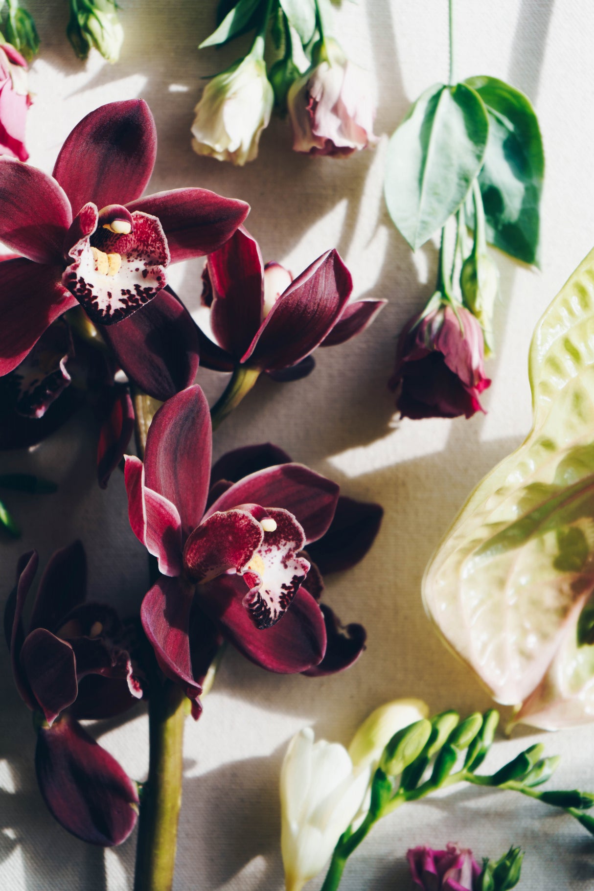 Flower Mood Poster och Canvastavla